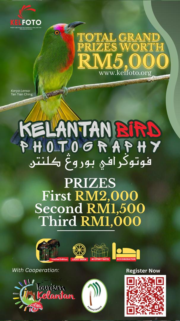 Kelantan Bird Photography 2026